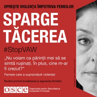 #StopVAW End The Silence Banner for Moldavia in Romanian