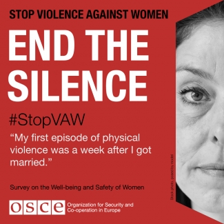 #StopVAW End The Silence Banner