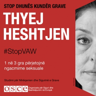 #StopVAW End the Silence Banner Albania