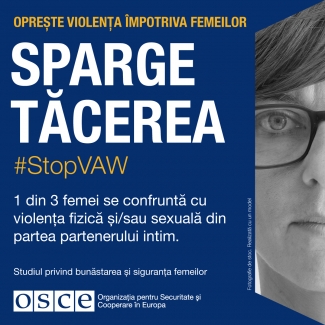#StopVAW End the Silence Banner for Moldavia in Romanian