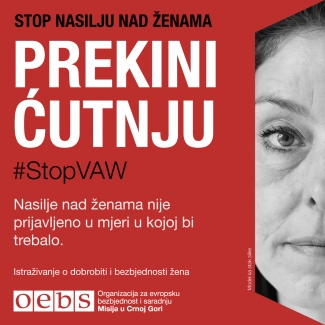 #StopVAW End The Silence Banner MNE